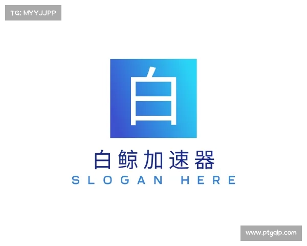 认识白鲸加速器