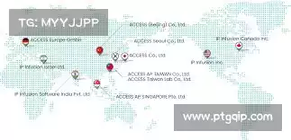 白鲸加速器官方——激活流量潜力，让每一次访问都为您创造更高回报！